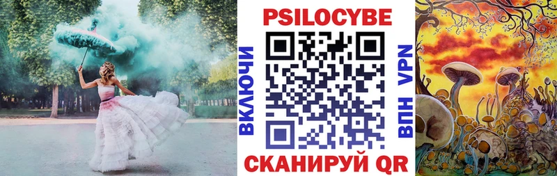 даркнет наркотические препараты  Углегорск  Псилоцибиновые грибы прущие грибы  дарнет шоп 