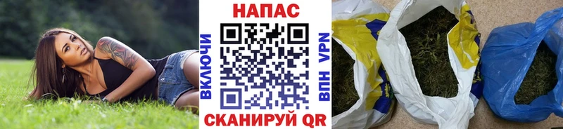 Бошки марихуана ГИДРОПОН  как найти наркотики  Углегорск 